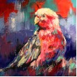 Galah